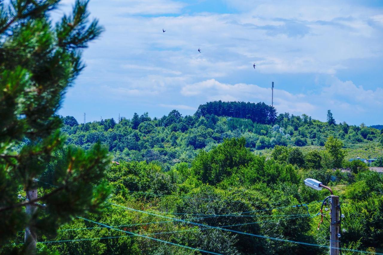 Chrystal Guest House Obzor Εξωτερικό φωτογραφία